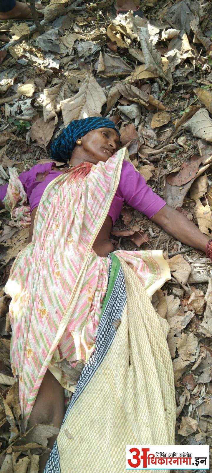 मासे पकडण्याकरिता गेलेल्या दोन इसमांचा वर्धा नदीत बुडून मृत्यू