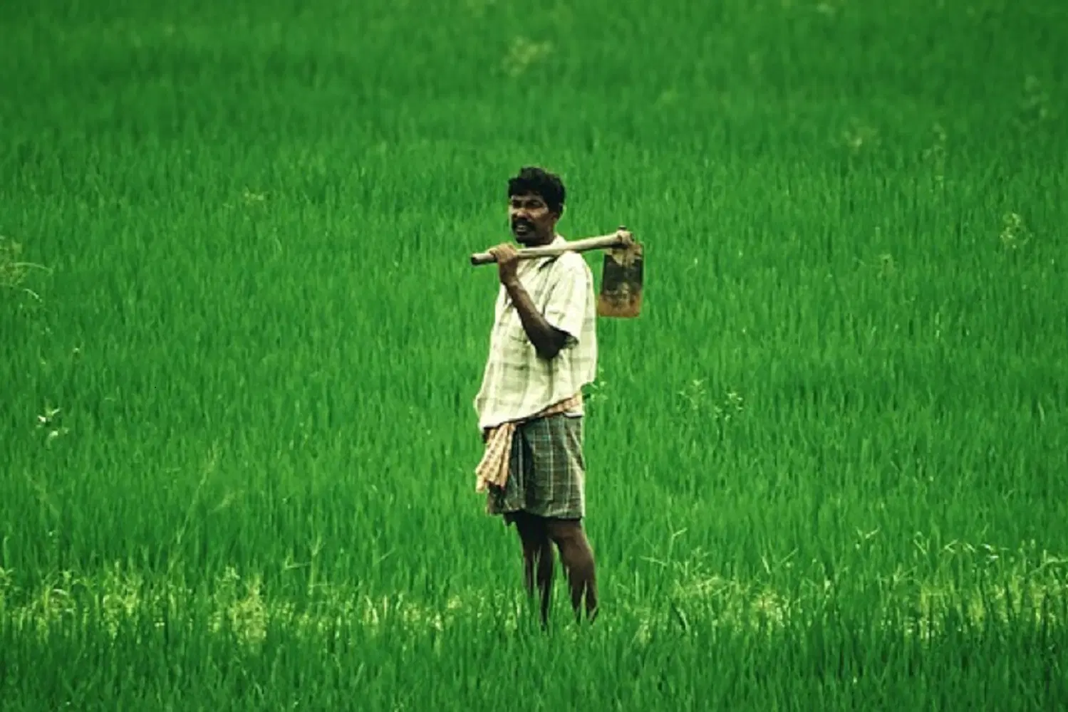 PM Kisan Yojana: या दिवशी येणार PM किसान योजनेचा 12वा हप्ता, या लोकांवर होणार कारवाई ! जाणून घ्या काय आले नवीन अपडेट…