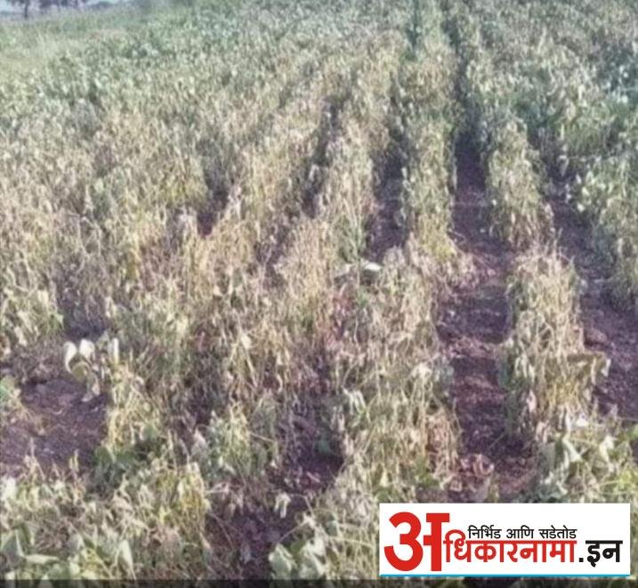 सकल मराठा समाज परभणी जिल्ह्याच्या वतीने जरांगे पाटील यांच्या उपोषणाला पाठिंबा