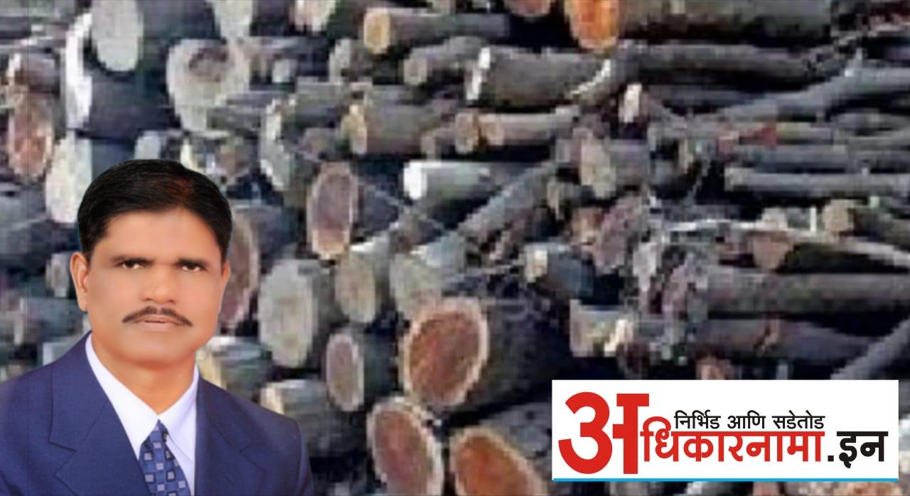 आष्टी परिसरात जळाऊलाकडे उपलब्ध करून द्या; माजी ग्रा पं सदक्ष्य भास्कर फरकडे यांची मागणी