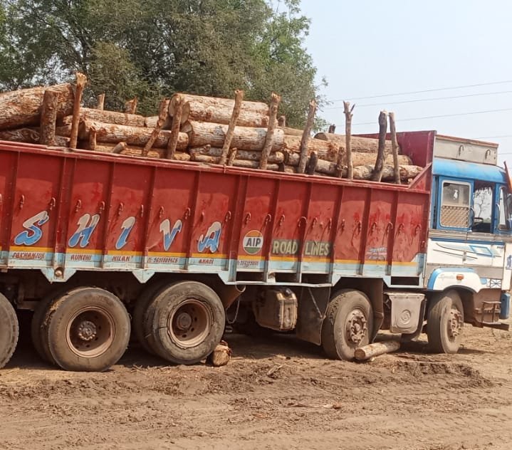 वनविभागाच्या दुर्लक्षामुळे जंगलसंपत्तीचा ऱ्हास
