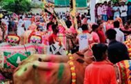 वाकान येथे बैल पोळा सण उत्साह पुर्वक साजरा!