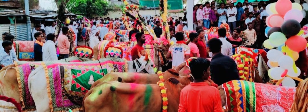 वाकान येथे बैल पोळा सण उत्साह पुर्वक साजरा!