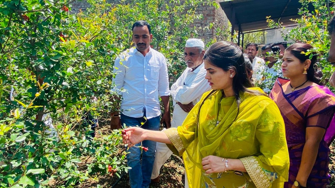 गारपिटीमुळे नुकसानग्रस्त फळबागा, पिकांची पाहणी- अंकिता पाटील ठाकरे