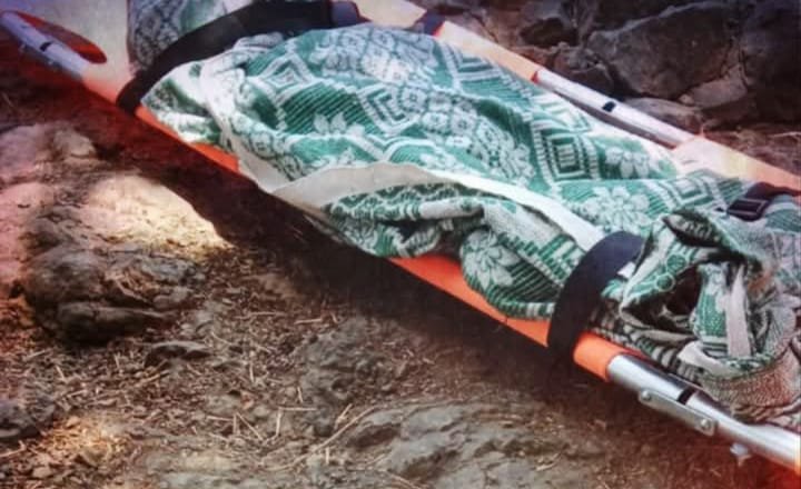 वाशाळा वनपरिक्षेत्रात बिबट्याचा हल्ला