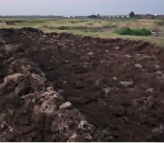 उजनी लाभक्षेत्रात माती तस्करांचा धुमाकूळ; महसूल प्रशासनाचे दुर्लक्ष